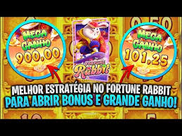 rabbit fortune cookie tradução