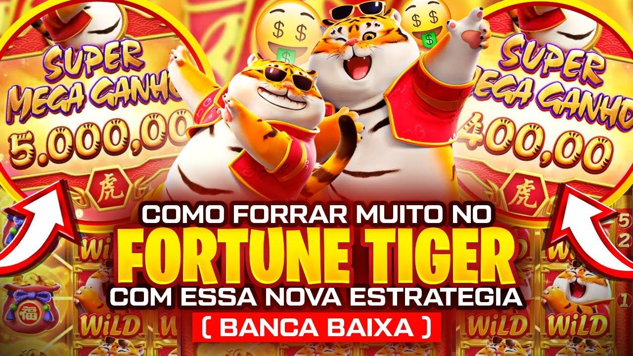 app casino imagem de tela 4